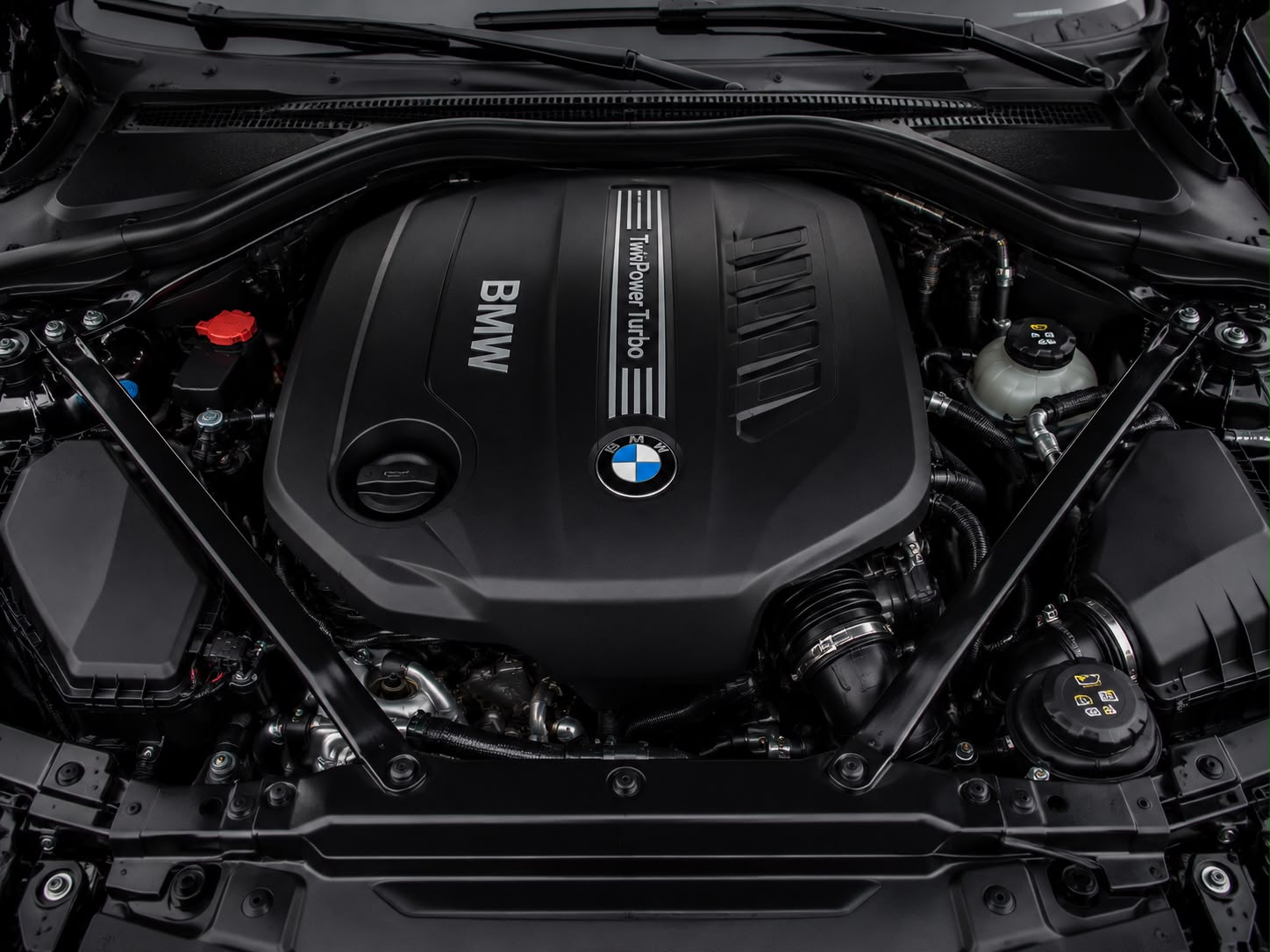 BMW engine serviced at Euro Auto Works in Fredericksburg, VA